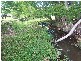 Mullumbimby NSW 2482