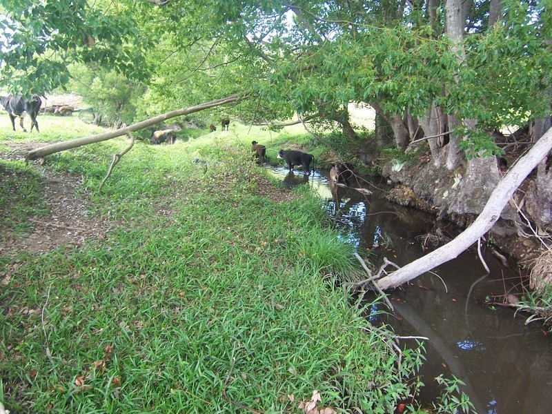 Mullumbimby NSW 2482