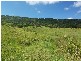 Mullumbimby NSW 2482