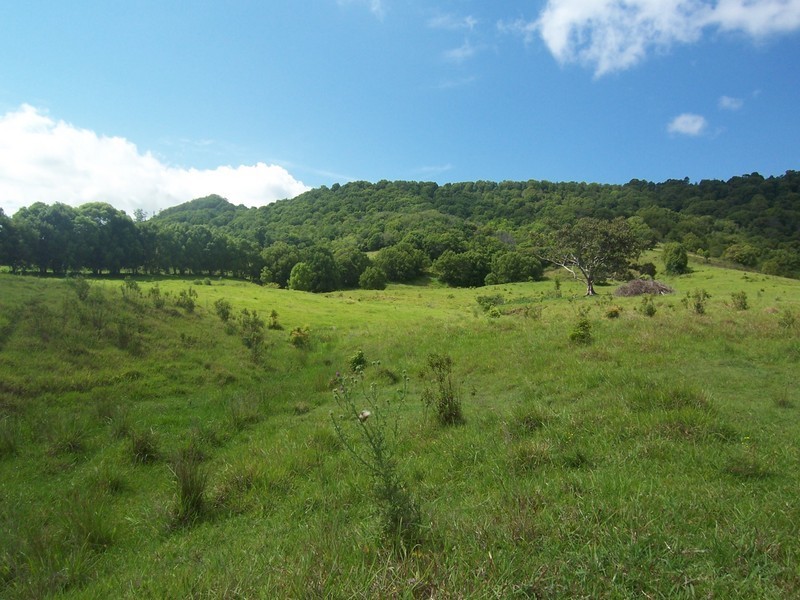 Mullumbimby NSW 2482