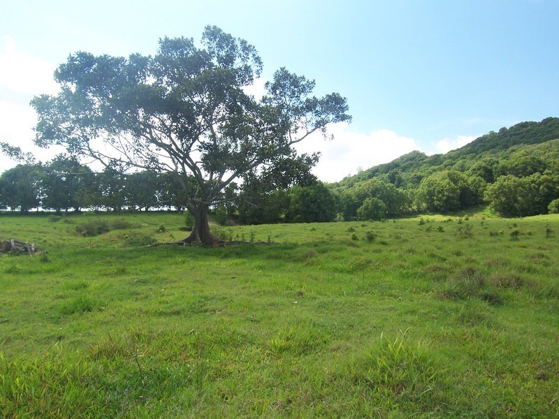 Mullumbimby NSW 2482