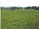 Mullumbimby NSW 2482