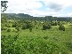 Mullumbimby NSW 2482