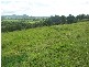 Mullumbimby NSW 2482