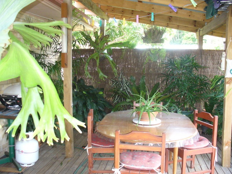 Mullumbimby NSW 2482