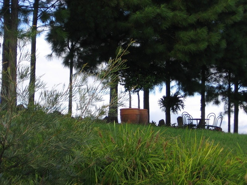 Myocum NSW 2481