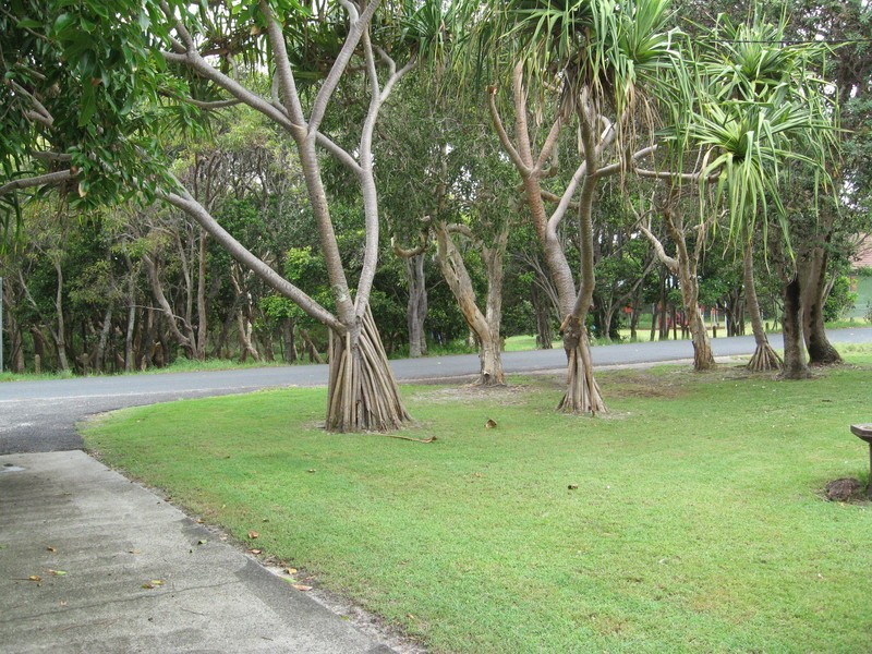 Suffolk Park NSW 2481