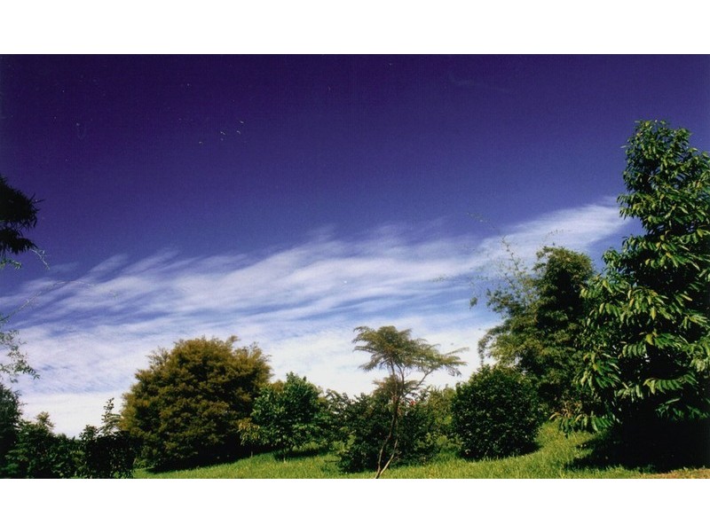 Lot 69 Jarretts Road, Federal NSW 2480
