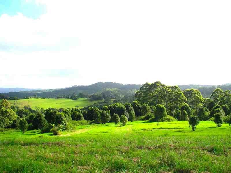 Lot 69 Jarretts Road, Federal NSW 2480