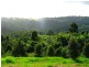 Lot 69 Jarretts Road, Federal NSW 2480