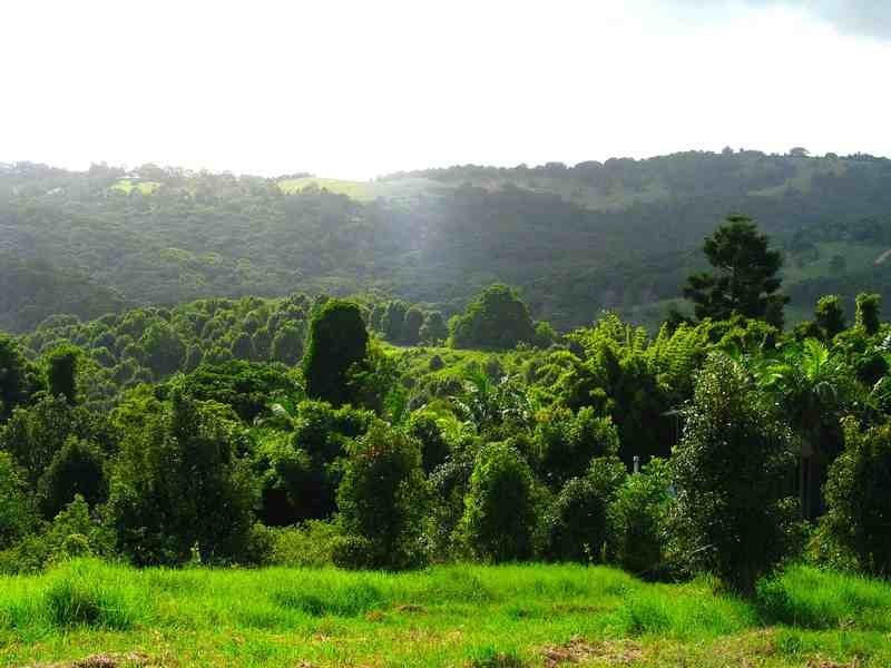 Lot 69 Jarretts Road, Federal NSW 2480