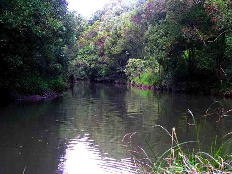 Lot 69 Jarretts Road, Federal NSW 2480