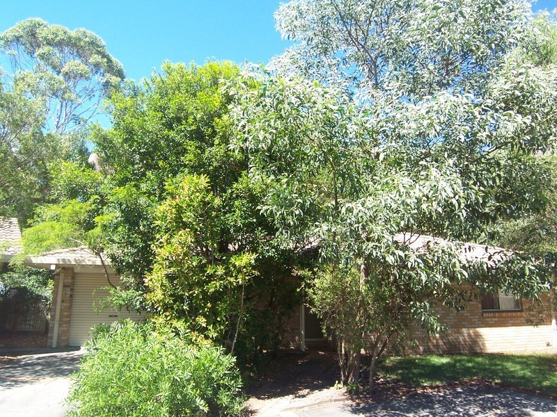 Byron Bay NSW 2481
