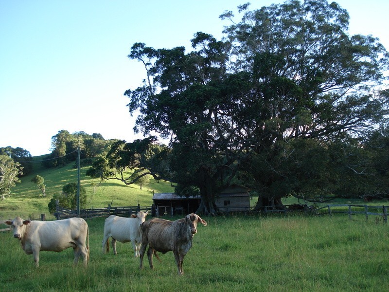 Billinudgel NSW 2483