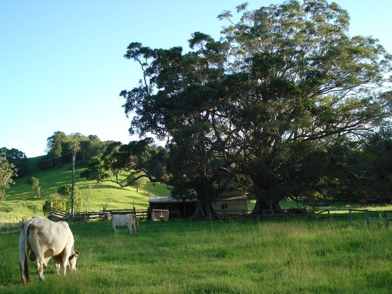 Billinudgel NSW 2483