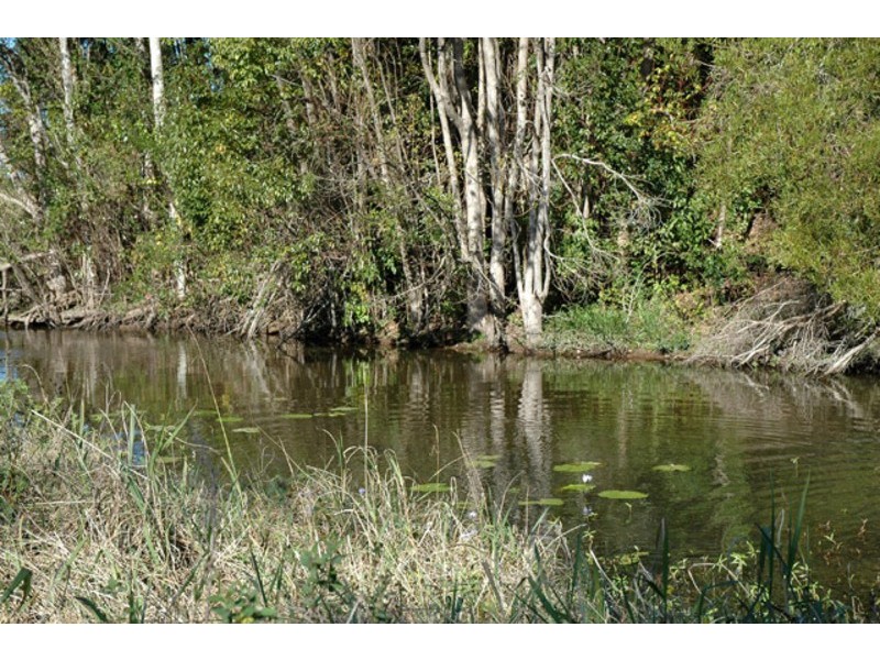 Billinudgel NSW 2483