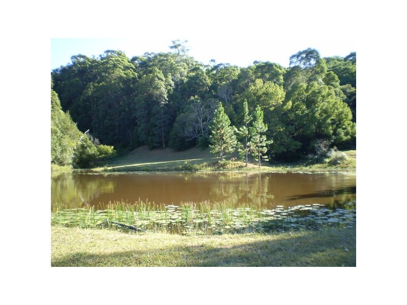 68 Yelgun Drive, Yelgun NSW 2483