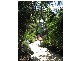 Bangalow NSW 2479