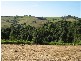 Bangalow NSW 2479
