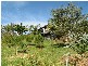 Bangalow NSW 2479