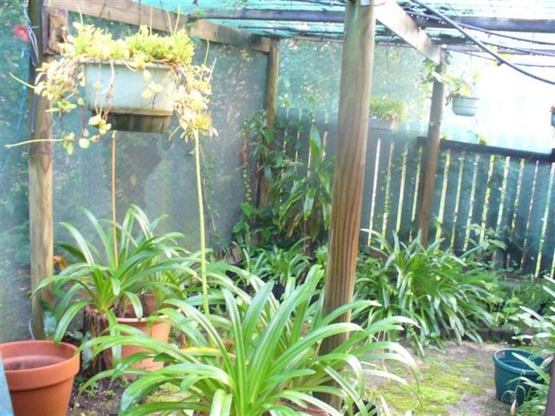 Ocean Shores NSW 2483
