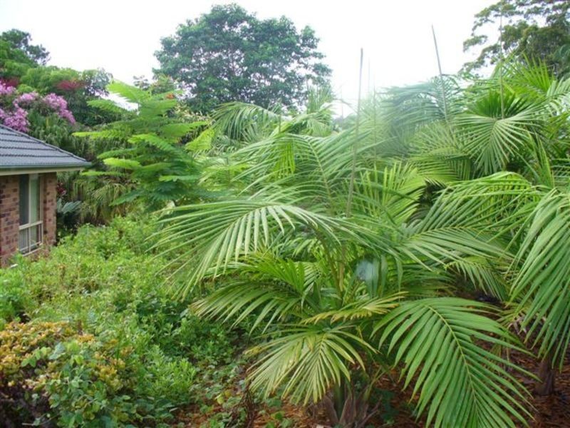 Ocean Shores NSW 2483