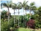 12 Goolara Court, Ocean Shores NSW 2483