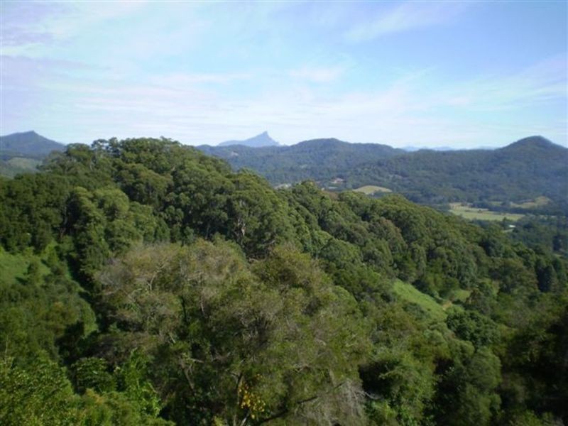 105 Hunter Street, Burringbar NSW 2483