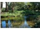 Billinudgel NSW 2483