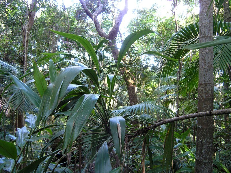 Crabbes Creek NSW 2483