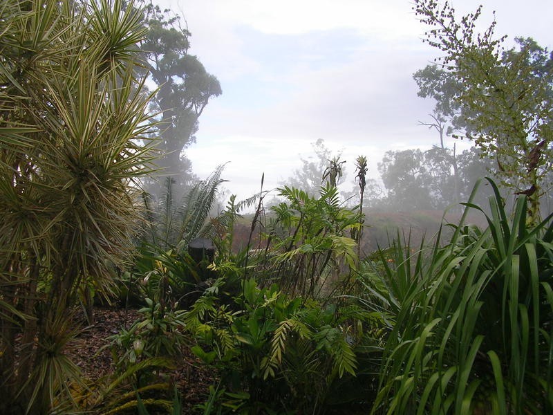 Crabbes Creek NSW 2483