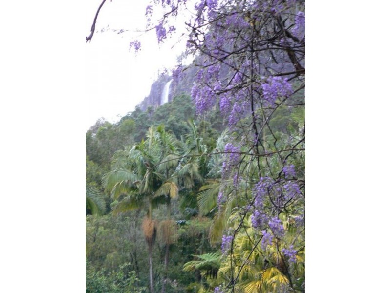 Lot 2 Wanganui Road, Mullumbimby NSW 2482