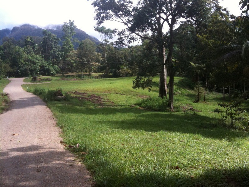 Lot 3 Wanganui Road, Mullumbimby NSW 2482