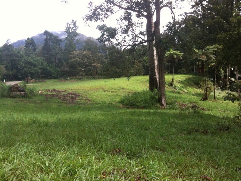 Lot 3 Wanganui Road, Mullumbimby NSW 2482