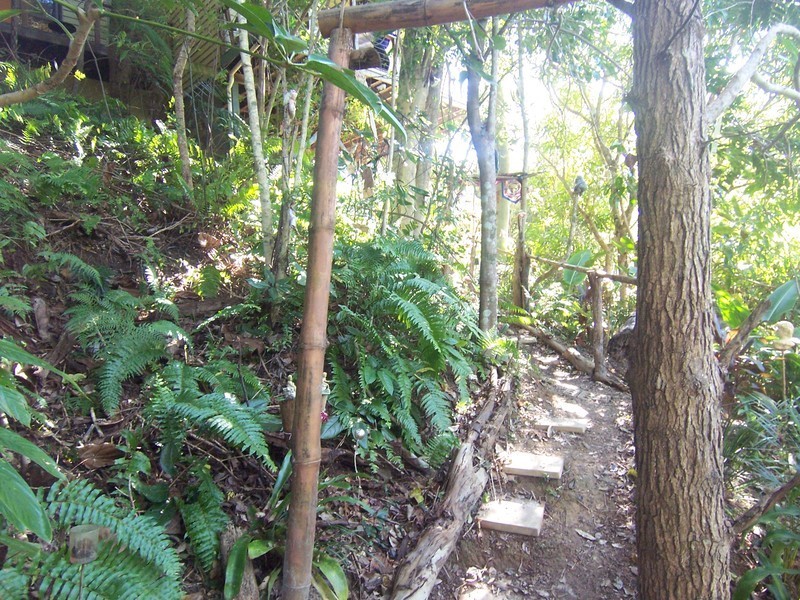 Ocean Shores NSW 2483