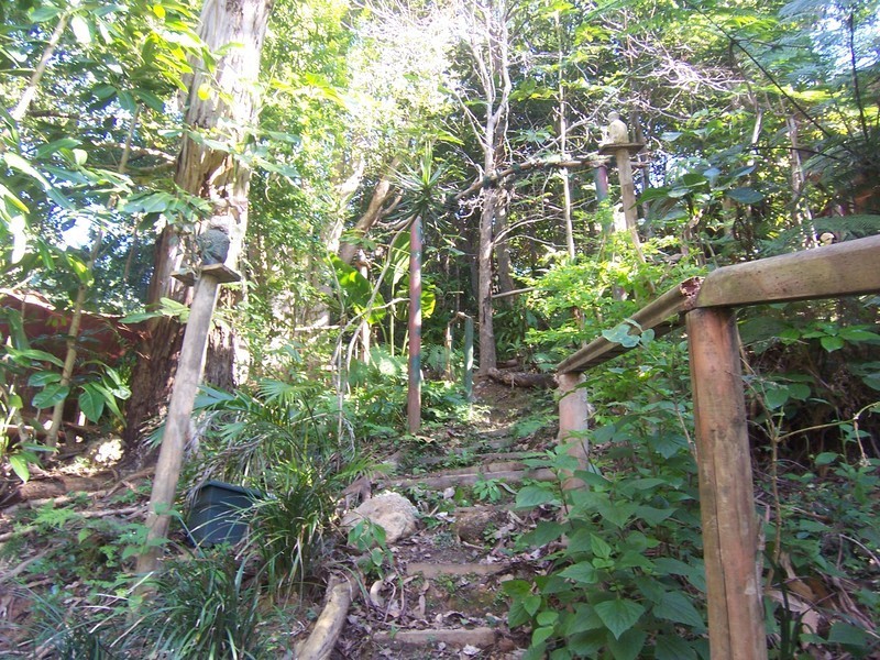 Ocean Shores NSW 2483