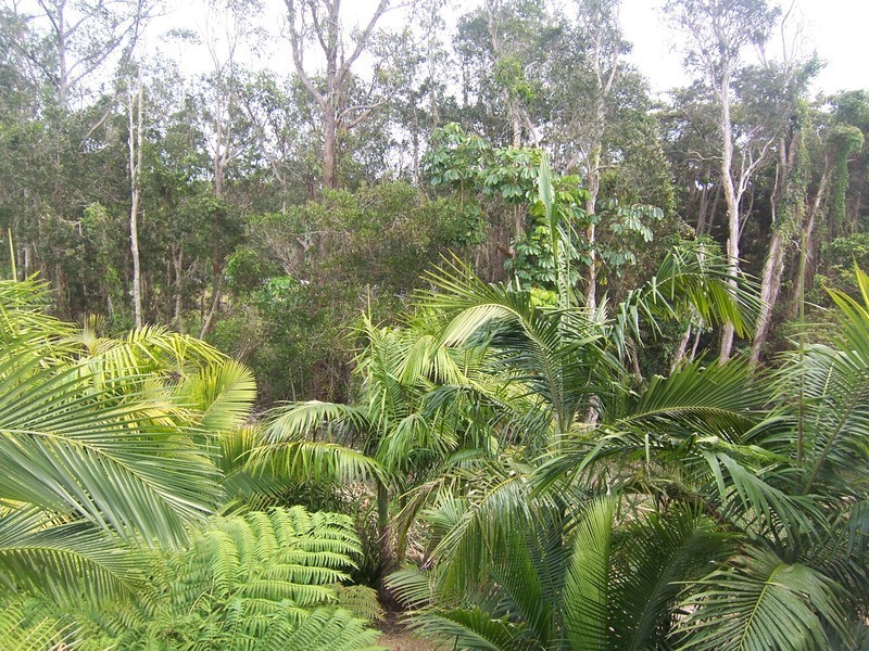 24/5 Old Bangalow Road, Byron Bay NSW 2481