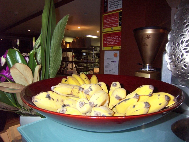 5/2 Fletcher Street, Byron Bay NSW 2481