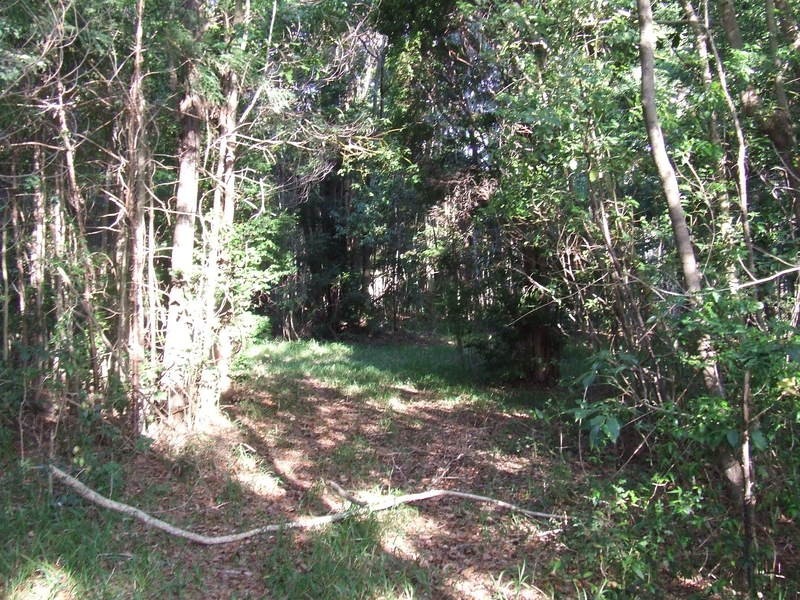 Lot 1 / 368 Broken Head Road, Broken Head NSW 2481