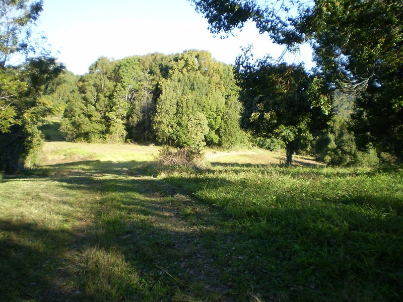Lot 1 Charltons Lane, Federal NSW 2480