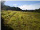 Lot 1 Charltons Lane, Federal NSW 2480