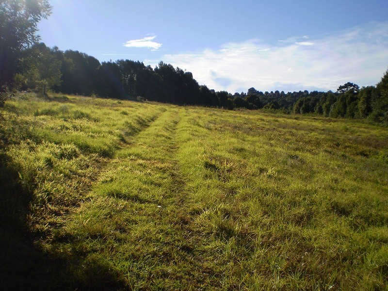 Lot 1 Charltons Lane, Federal NSW 2480