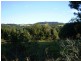 Lot 1 Charltons Lane, Federal NSW 2480