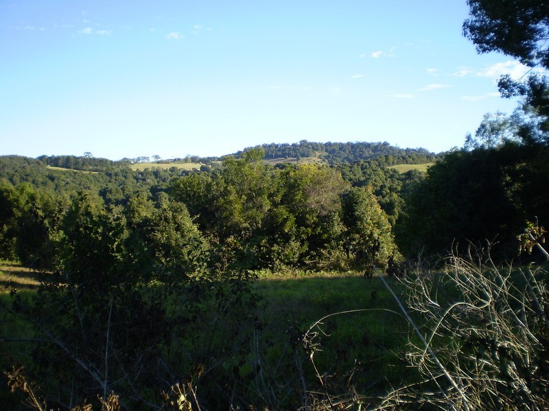 Lot 1 Charltons Lane, Federal NSW 2480