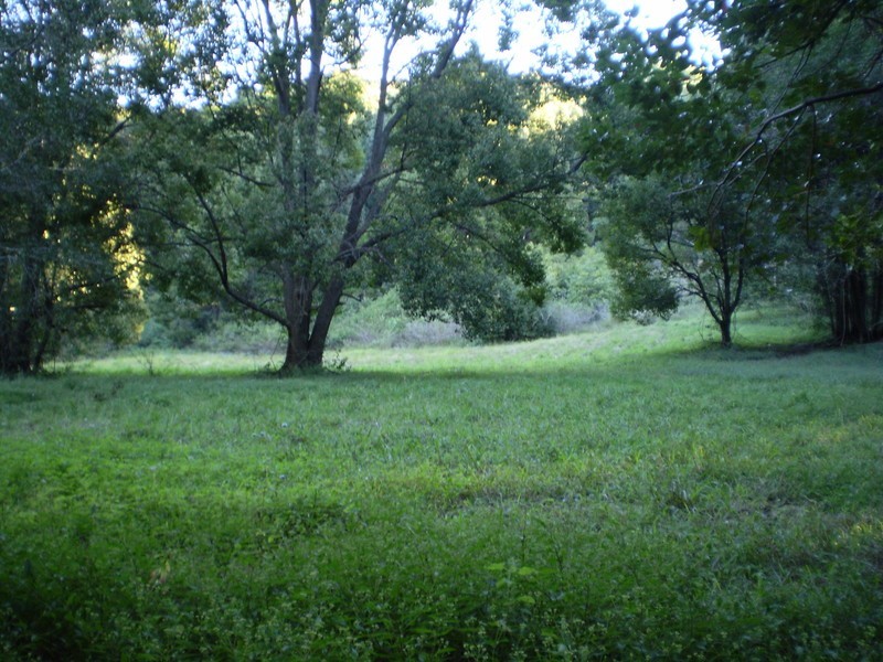 Lot 1 Charltons Lane, Federal NSW 2480