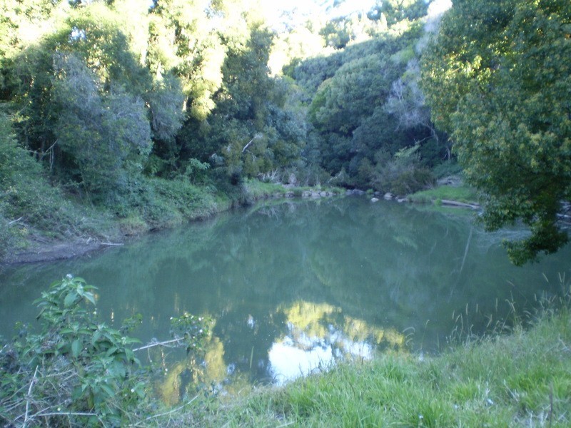 Lot 1 Charltons Lane, Federal NSW 2480