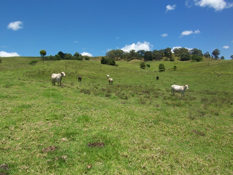 Myocum NSW 2481