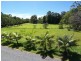 594 Broken Head Road, Broken Head NSW 2481
