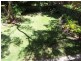 Byron Bay NSW 2481