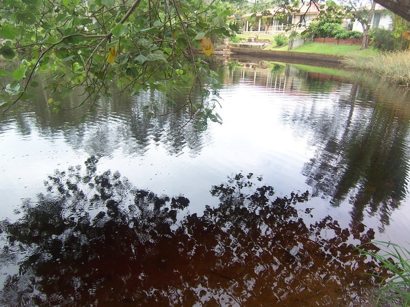 Ocean Shores NSW 2483